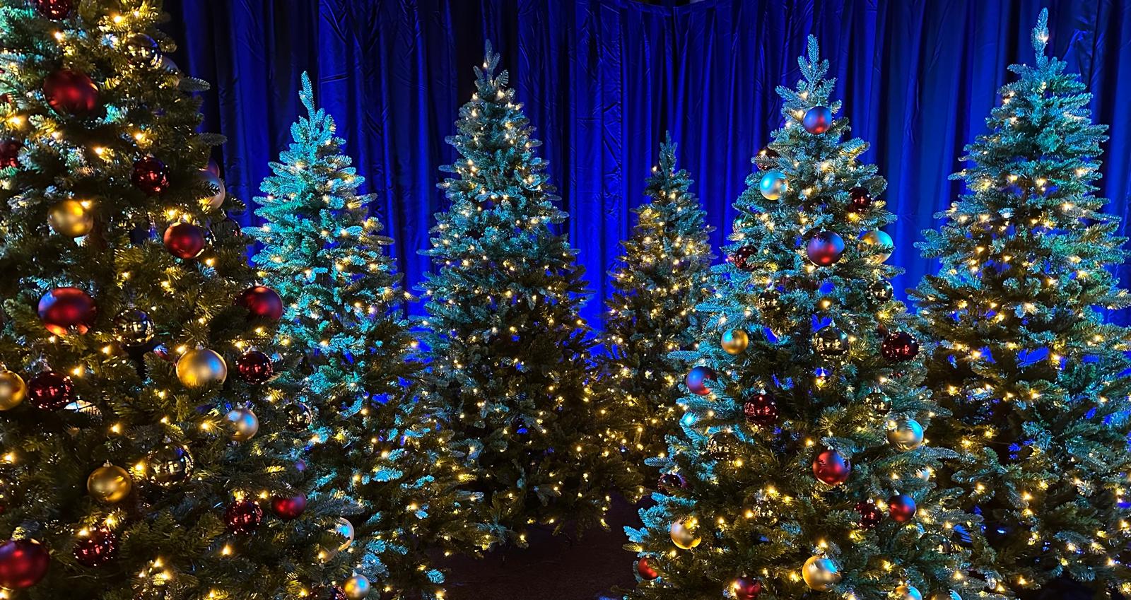 Mijnkerstboom.nl